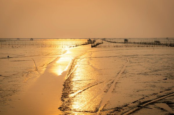 Les avantages d'un voyage en croisière